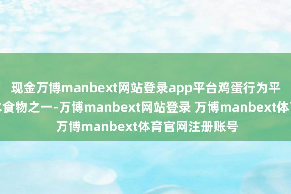 现金万博manbext网站登录app平台鸡蛋行为平时生计中的基本食物之一-万博manbext网站登录 万博manbext体育官网注册账号